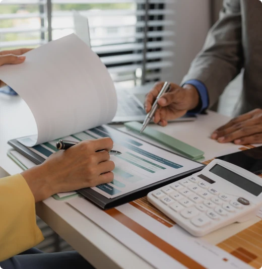 audit otchet msfo mini