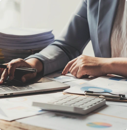 audit otchet msfo mini