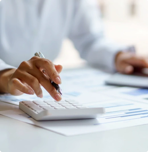 audit otchet msfo mini