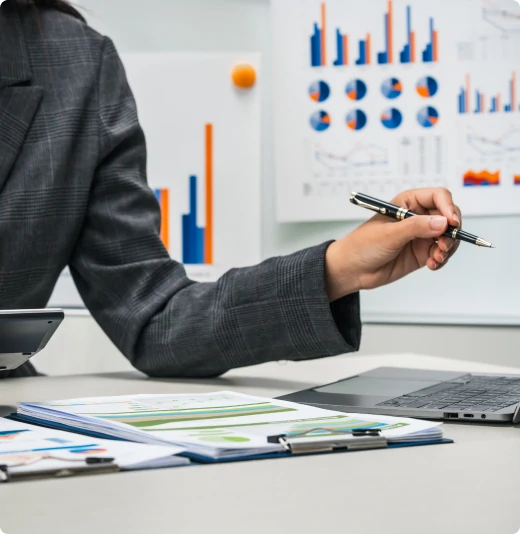 audit otchet msfo mini