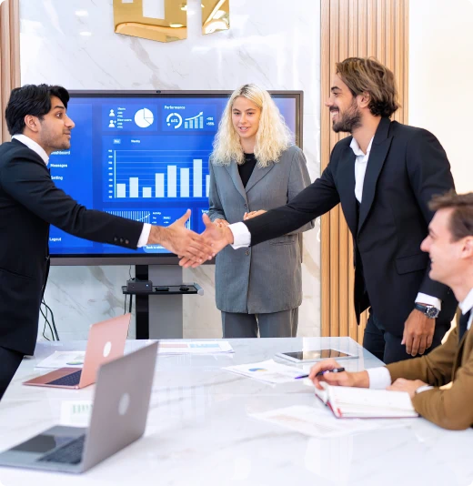 audit otchet msfo mini